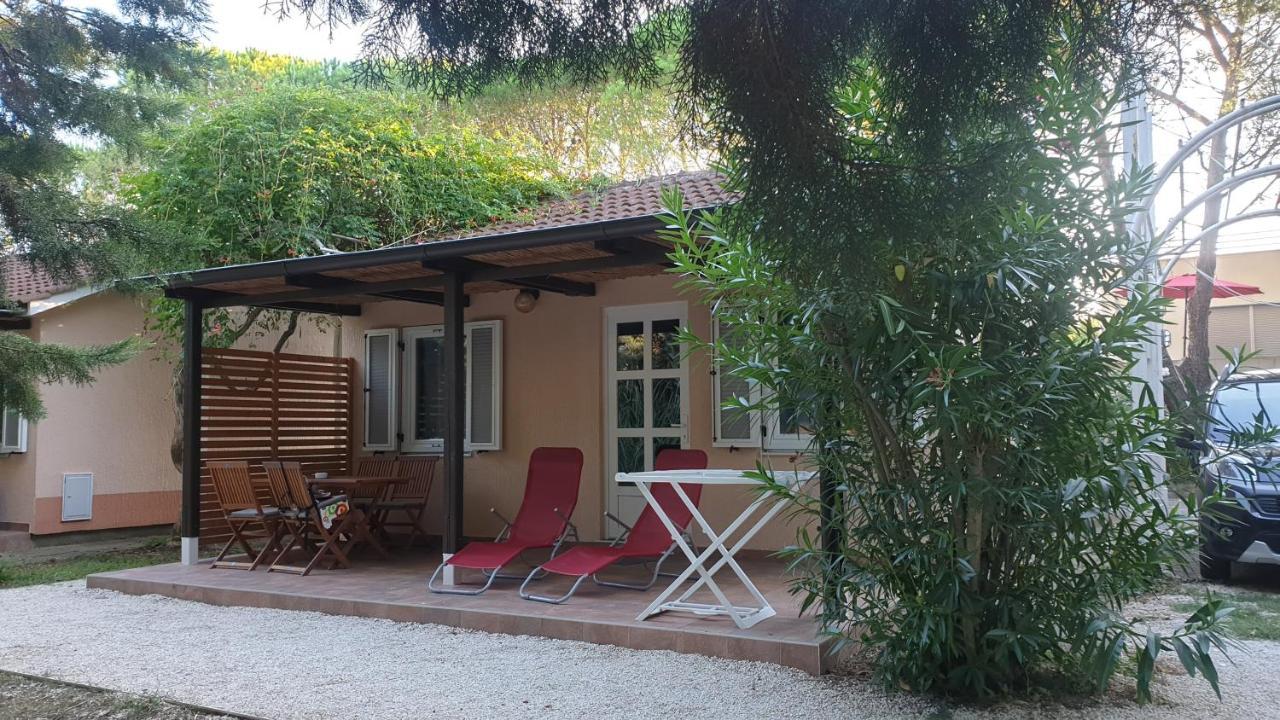 Bungalow Comfort 100 M From The Beach Premantura Zewnętrze zdjęcie